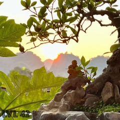 The Dreamer - Clearfixsounds remix