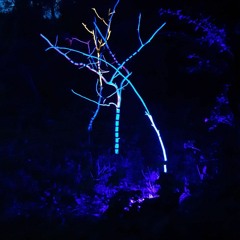 HappyHasselfelde2023