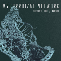 Synthetic Morphology