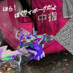 Composite Resin(live)