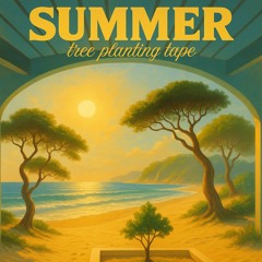 sunscrolls