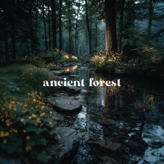 alex p - ancient forest