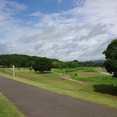 向日葵の咲く夏