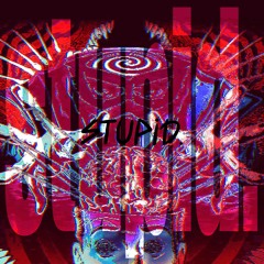Stupid (flipped by kite.)