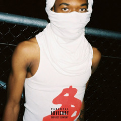 BALLHOG OR DIE - PROTECT MIXED