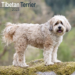 ACCESS EPUB 📙 Tibetan Terrier Calendar - Dog Breed Calendars - 2022 - 2023 wall cale