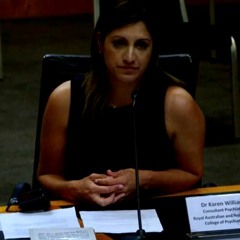 Dr Karen Williams on Coercive Control at NSW Parliamentary Inquiry