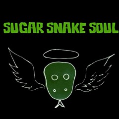 Nice Trip (debut single)