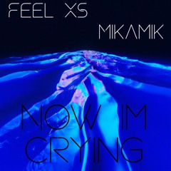 Feel XS - Now Im Crying(ft. Mikamik)