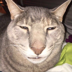 Xi măng phố vol12.mp3