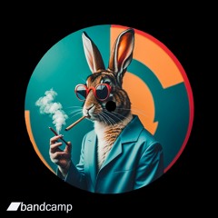 Funky Rabbit