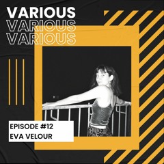 VARIOUS #12 - Eva Velour