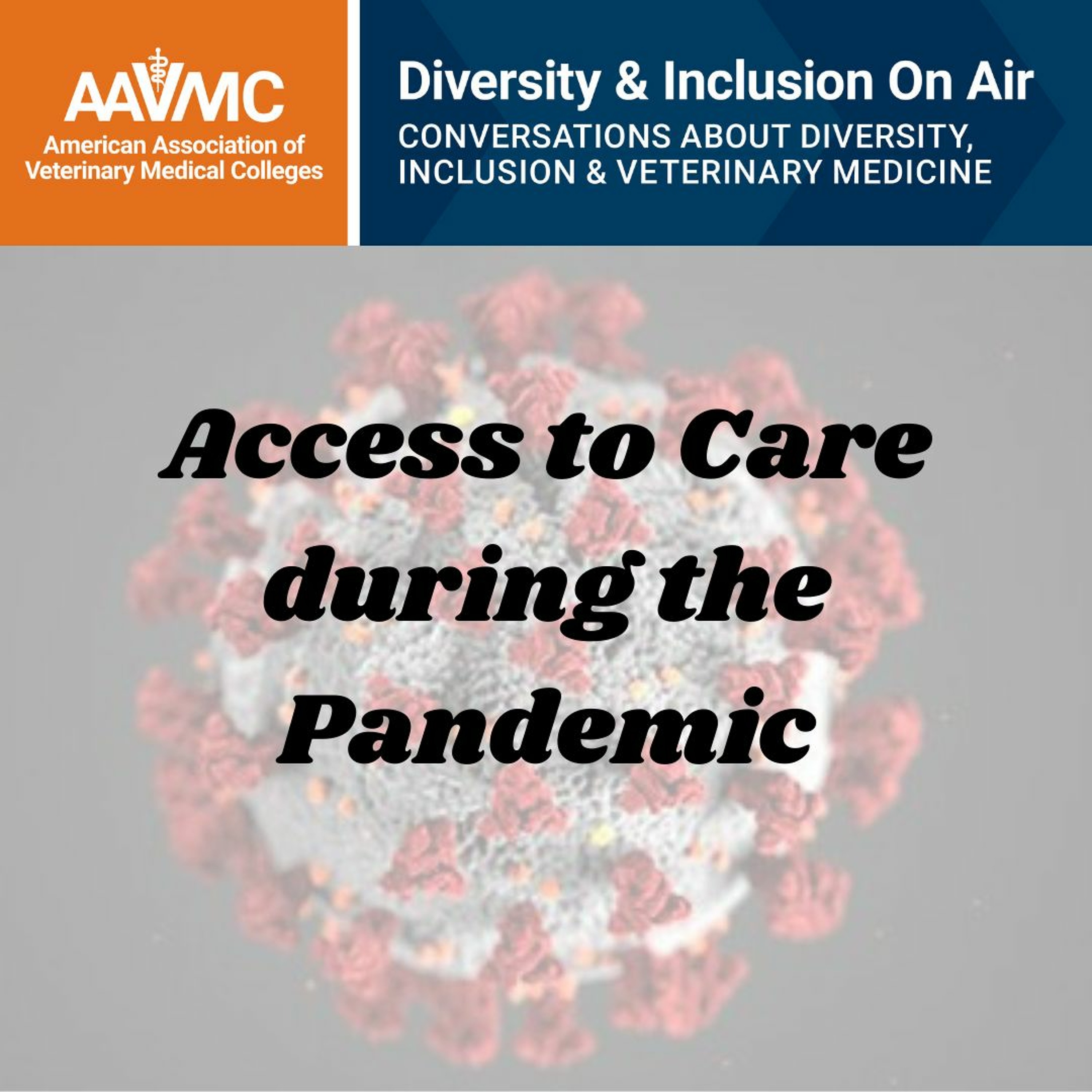 AAVMC\'s On Air: Conversations about Issues in Veterinary Medicine