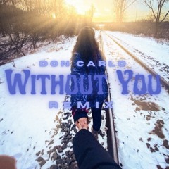 Don Carlo - Without you Cover/Remix