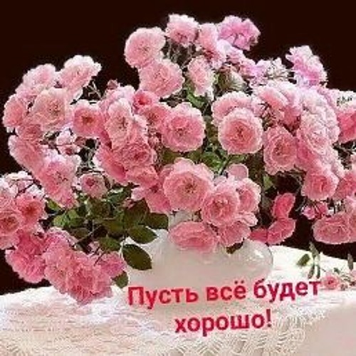 Она любила розы