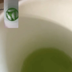 East Coast Slither Ft @bslimerixh