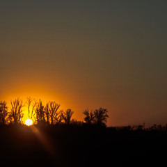 Без названия