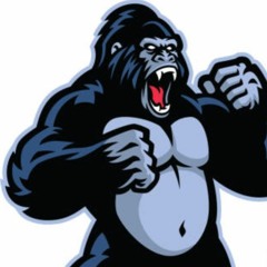 gorrila flow x yung bukk