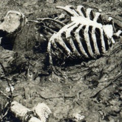 A BODY WITHOUT A FACE