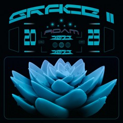 GRACE II
