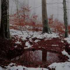 БыстраяЖизнь