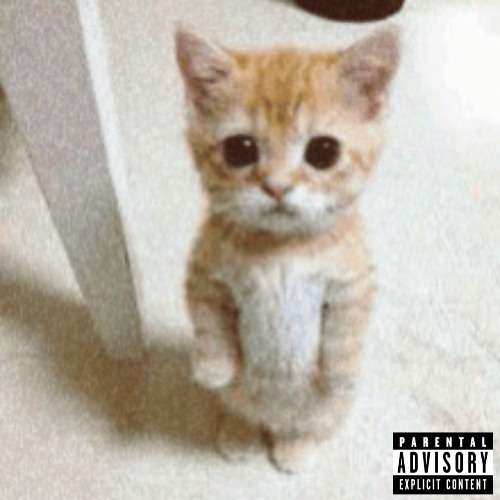 Sleepy - 4EVERFADED