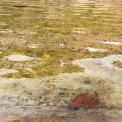 El tiempo era un rostro en el agua (2015) | exceptr