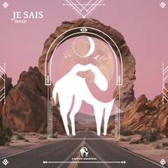 DiPap - Je Sais (Cafe De Anatolia)