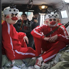 Майот хотел x laify