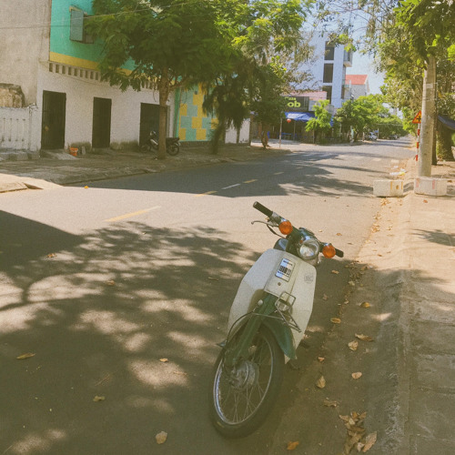 Hướng dương - Changg (nhẹ xìu version).