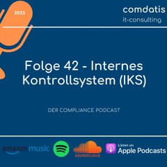 Internes Kontrollsystem (IKS)