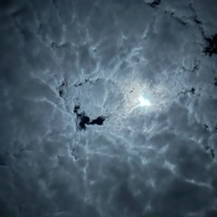 HXRRXRBXY - EVERY DOG HAS ITS DAY (PROD. LEGOS)