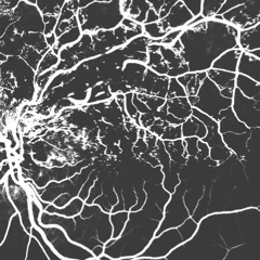 Le Mie Parole Vedranno Per Me - Excerpt - BINAURAL