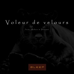 voleur de velours ft. Ashes & Dreams