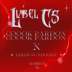 LVBEL C5 - AŞKIM ÇOOOK PARDON ( Ferdi Gündoğdu- MASHUP )