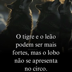 01 SÓ TEM 1 ( GB DO K11 ) PARABÉNS P MIM KKK