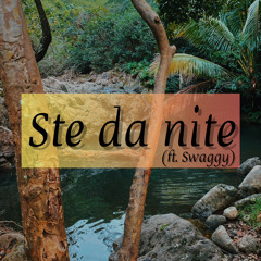 Ste da nite (ft. Swaggy) - Lel