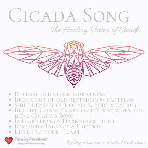 Cicadas Song Waves