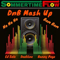 Bam Bam / No No No (DnB Mashup)