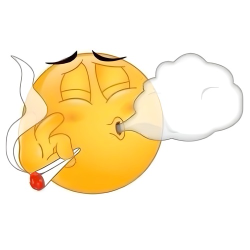 nitecore samples to study to #4 hosted by me n orihime +friends