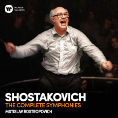 Symphony No. 10 in E Minor, Op. 93: II. Allegro
