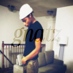 gnatz [ efrmsc ]