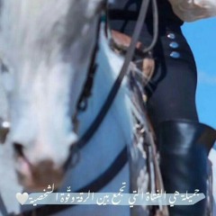 انا ربي جعل فيني شموخ وعزه وهيبة…….. ♩❥