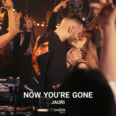 Now You're Gone (feat. Jordan Rys)