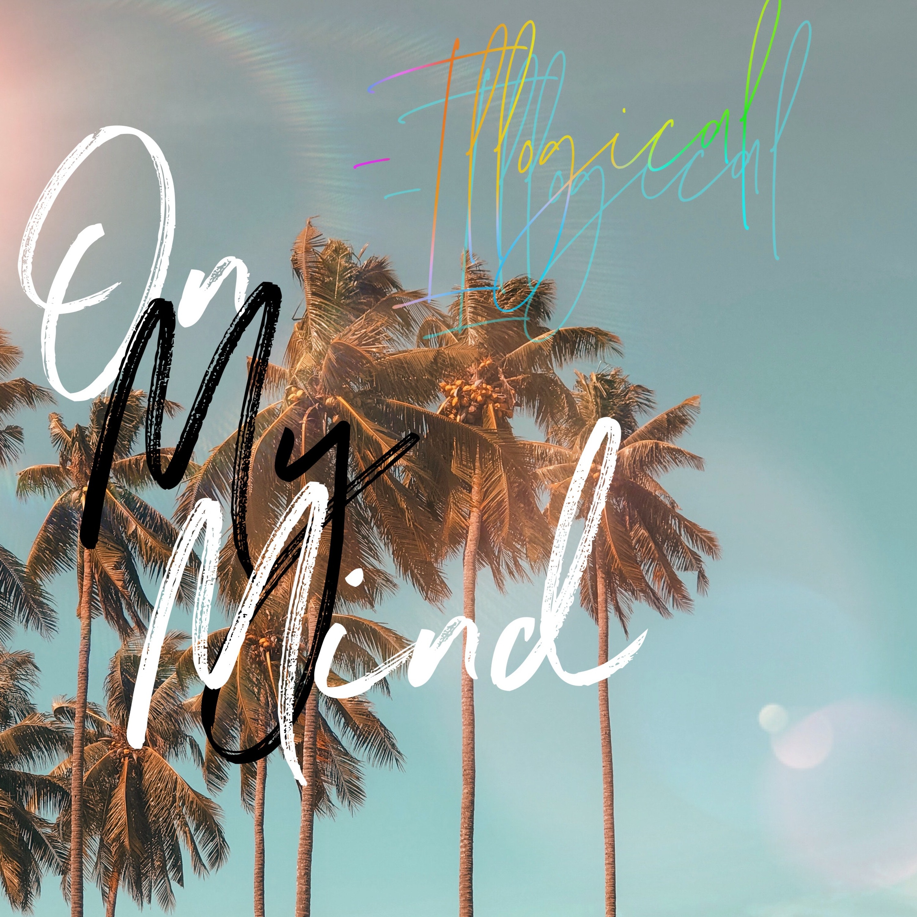 Track cover