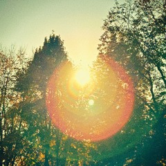 Daydreaming