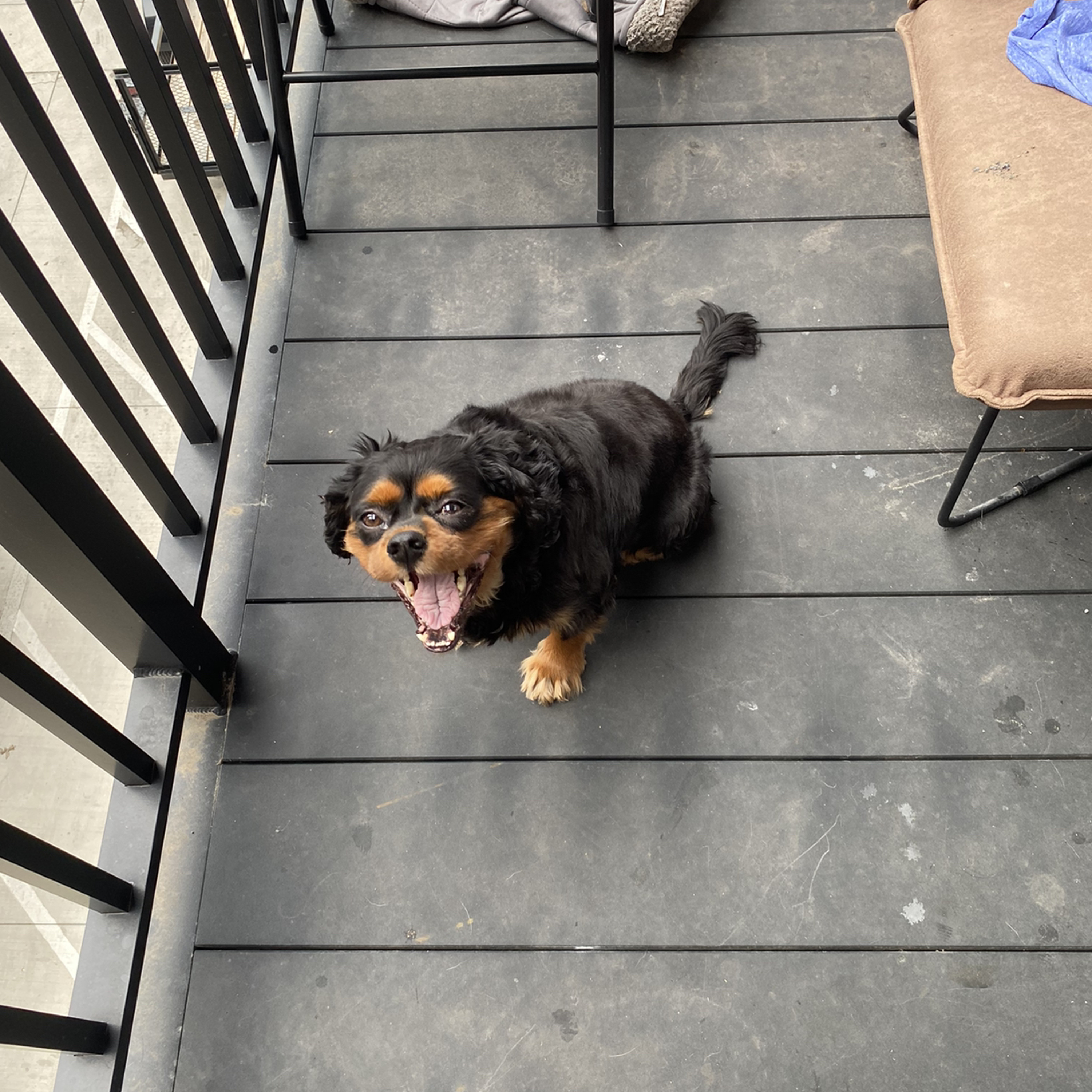 Burch\'s Audio Experience