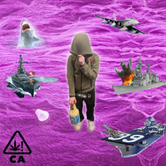 insane! (feat. Mxxi) (prod. Bloom7k)