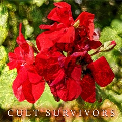 Cult Survivors