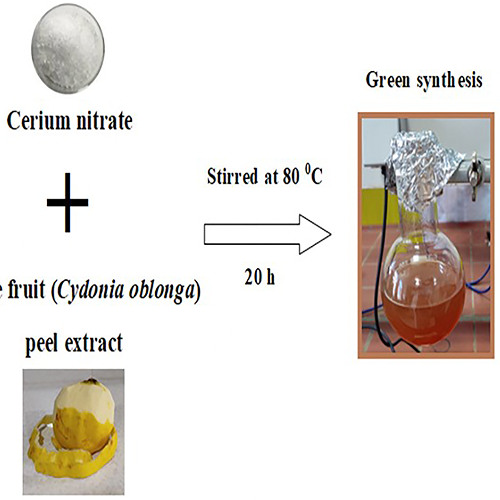 Eco-Friendly Nanoparticles Improve Cidofovir’s Anticancer and Antiviral Effects